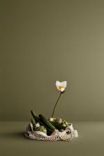 LADY 8546 Local Green LADY 8546 Local Green